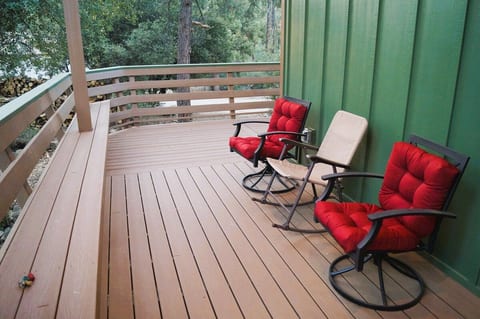 "Bearly Connected", a brand new cabin in the woods