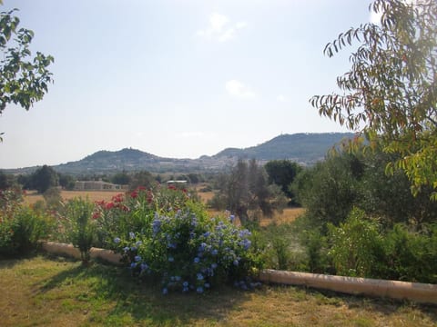 Finca S'Oliva
