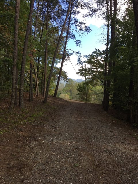 The road to the cabin was built utilizing an old lodging road for it's base. All roads are maintained leading to Black bear Ridge and  are accessible by car.