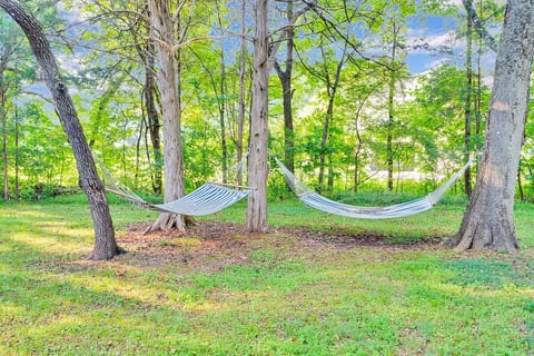 Eclectic 1906 Farmhouse: 2 Acres, Hammocks & Charm image 5