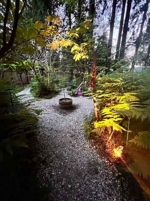 The orchard path. The path features many plants: ferns, flowers, and fruit trees.