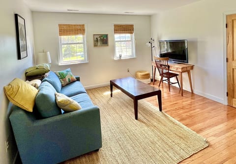 Living area with memory foam foldout queen sofa