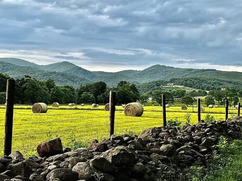 Triquetra Farm: A Shenandoah Conservation Retreat image 1