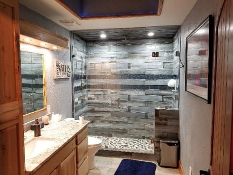 Guest Bathroom with heated floors , skylight and a Rain Head and shower wand!