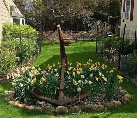 Anchor btw cottages in spring