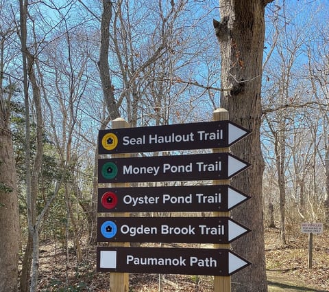Great hiking in Montauk!