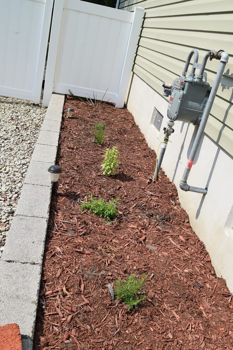 Another herb garden