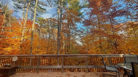 Spacious Chalet w/Lake Access - Dog Friendly