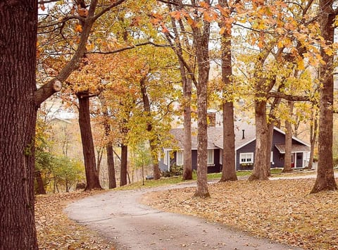 Branson’s Hidden Gem! Perfect Downtown Location!