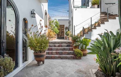 Lush inner courtyard connects main home and casita