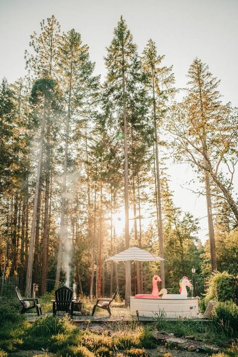Sugar Pine Cabin | Tiny House
