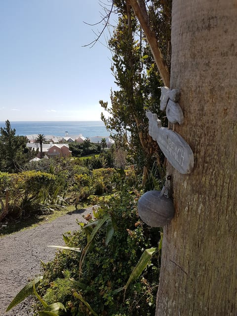 To The Beach!