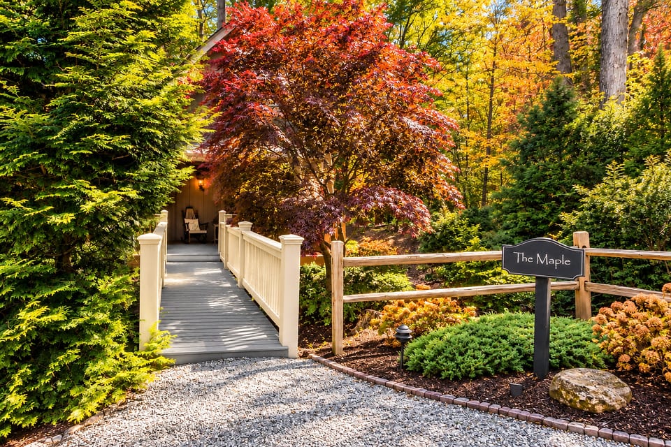 The Maple - Asheville