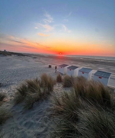 Studio for 4 near the sea, free garage, dog welcome