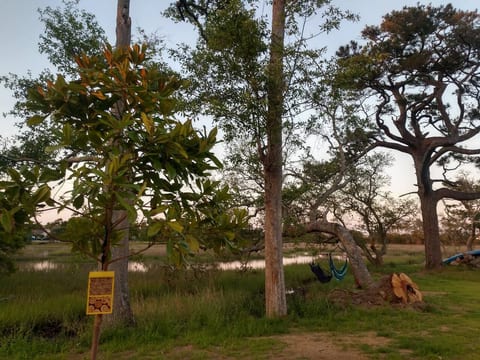 Ollies Creek Nature Haven