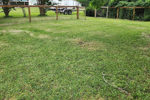 Wonderful, fenced in back yard!