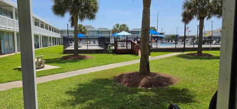 Palm-lined courtyard with easy access to the fenced outdoor pool