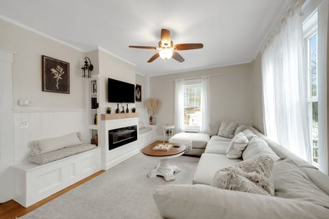 Living Room Electric Fireplace
