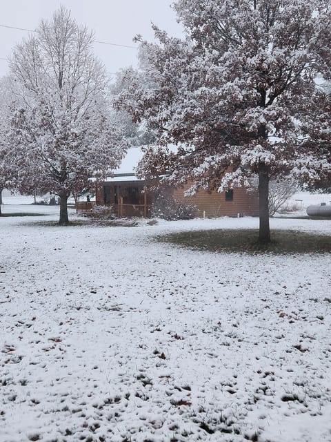 All seasons are gorgeous here, but there's something so inviting about a cabin in the snow.