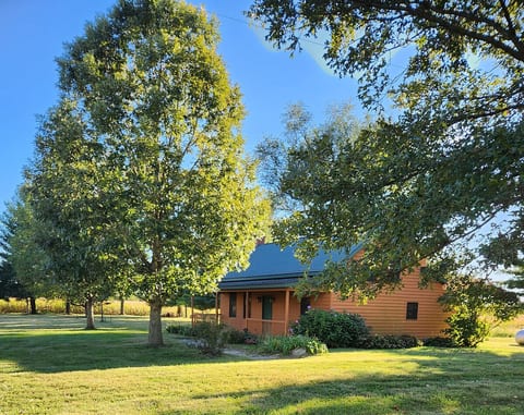 Peaceful, cozy cabin