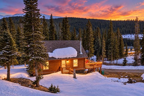 Snowy twilight