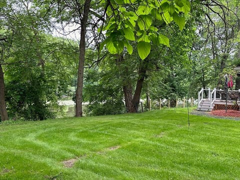 Left side yard