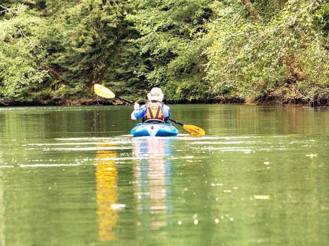 Esopus Waterfront | Arcade | Sauna | Kayak | Hot Tub