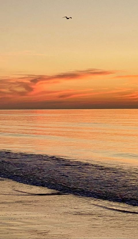 Beautiful beach sunset