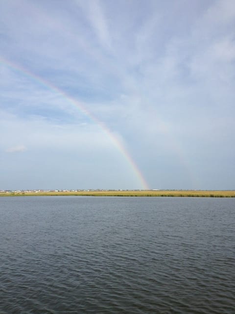 Bay view
