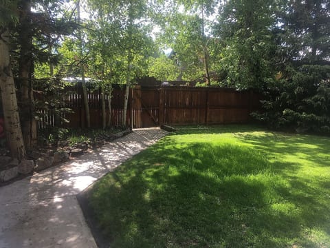 Fenced yard: sadly we lost the larger trees on the right - replaced 2025