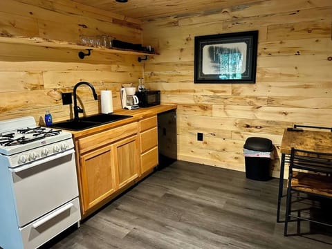 Cabin #2 on Horsehead Lake