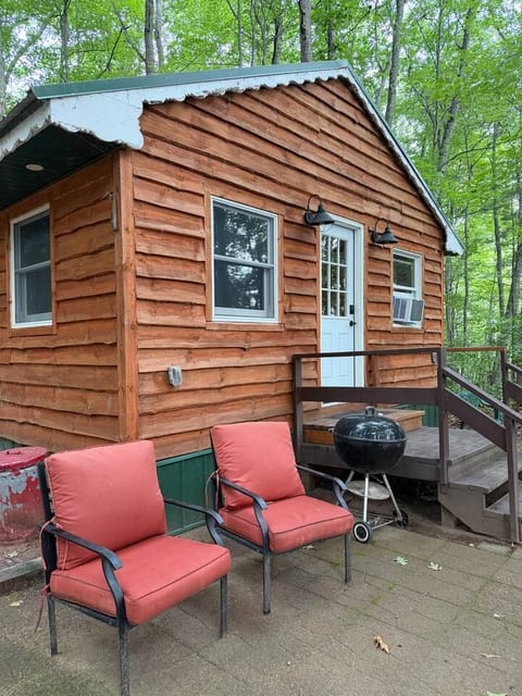 Cozy woodland cabin with patio seating, grill, and peaceful forest views