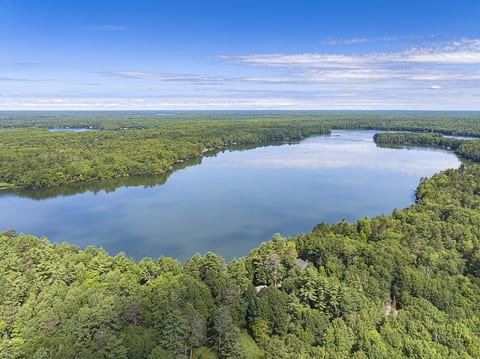 Serene lakefront setting with sweeping water views and lush forest
