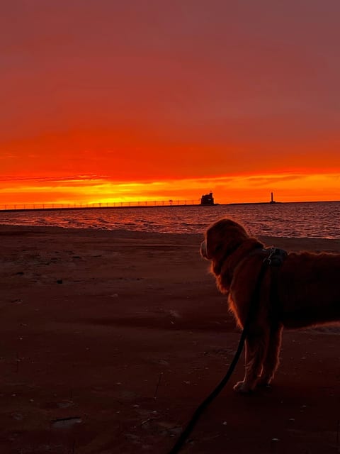 Morning sunrise with your furry family member