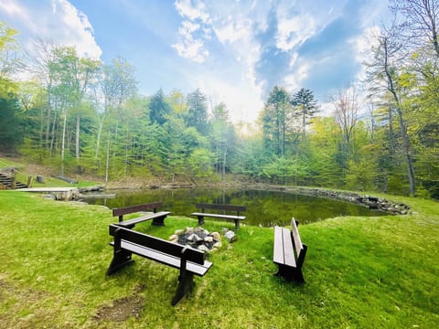 Firepit area with plenty of seating