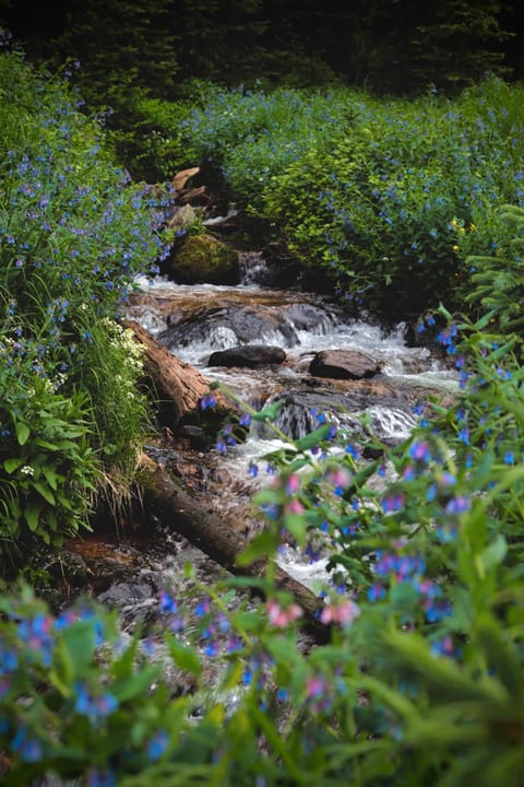 Short Creek runs through the property