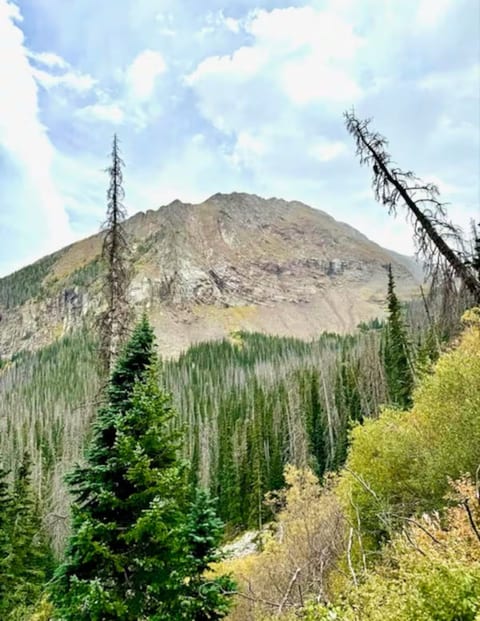 View of Spread Eagle Peak