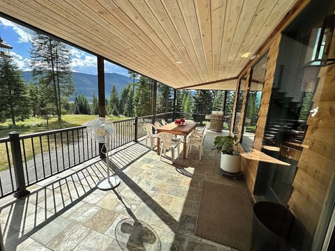 main floor patio/view