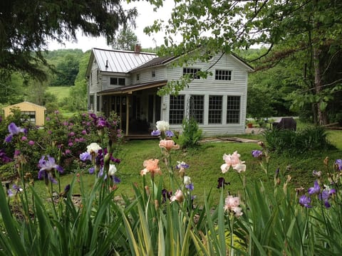Irises and kitchen wing