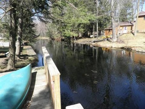 Lazy Acorn The Blue Gill on Lake Mitchell