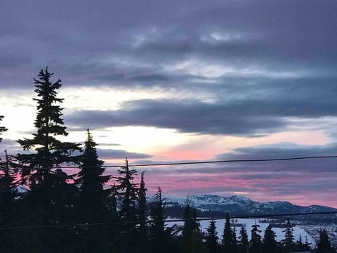 The Nest at Mt. Washington image 1