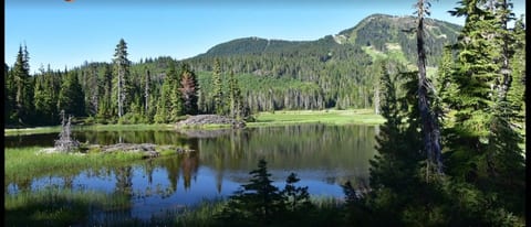 The Nest at Mt. Washington image 2