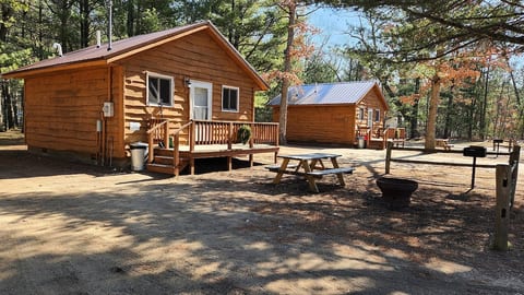Methner's High Bridge Cabin #2