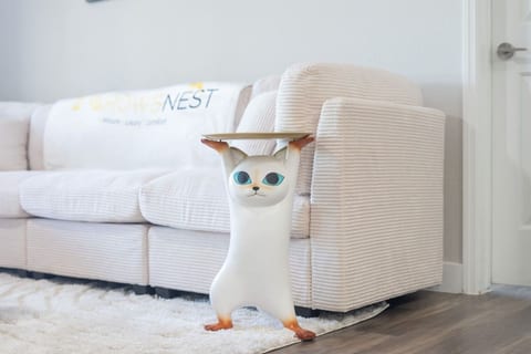 Just A Little Comfort