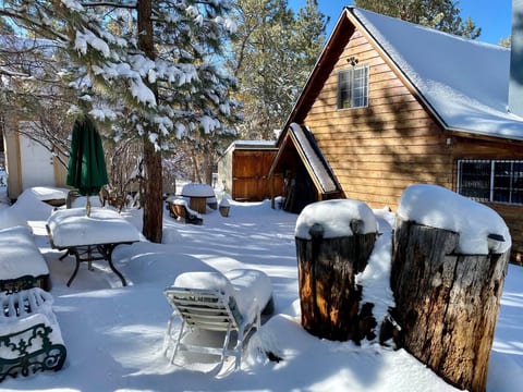 Woodland Cabin near Big Bear