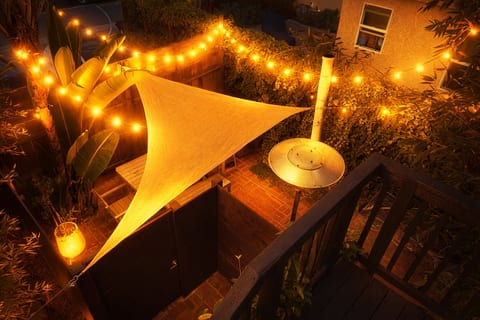 The Venice Beachwood 2