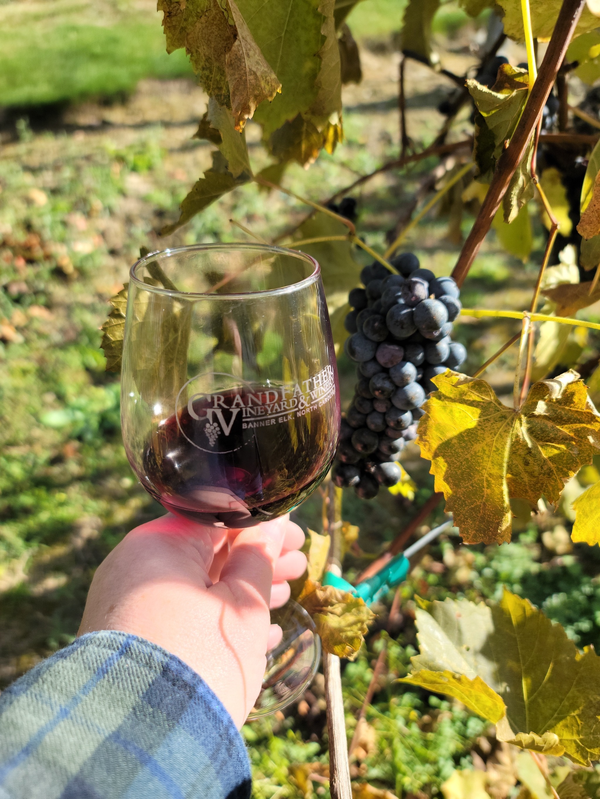 Grandfather Winery is less than a mile away. - Grandfather's Shadow Vacation Cabin - Banner Elk