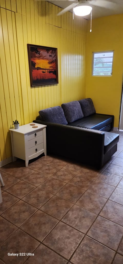 Converter Sofa (full bed)