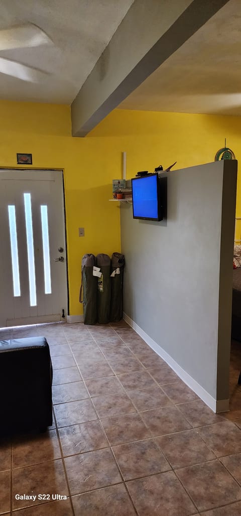Room Divider/SmartTV Wall