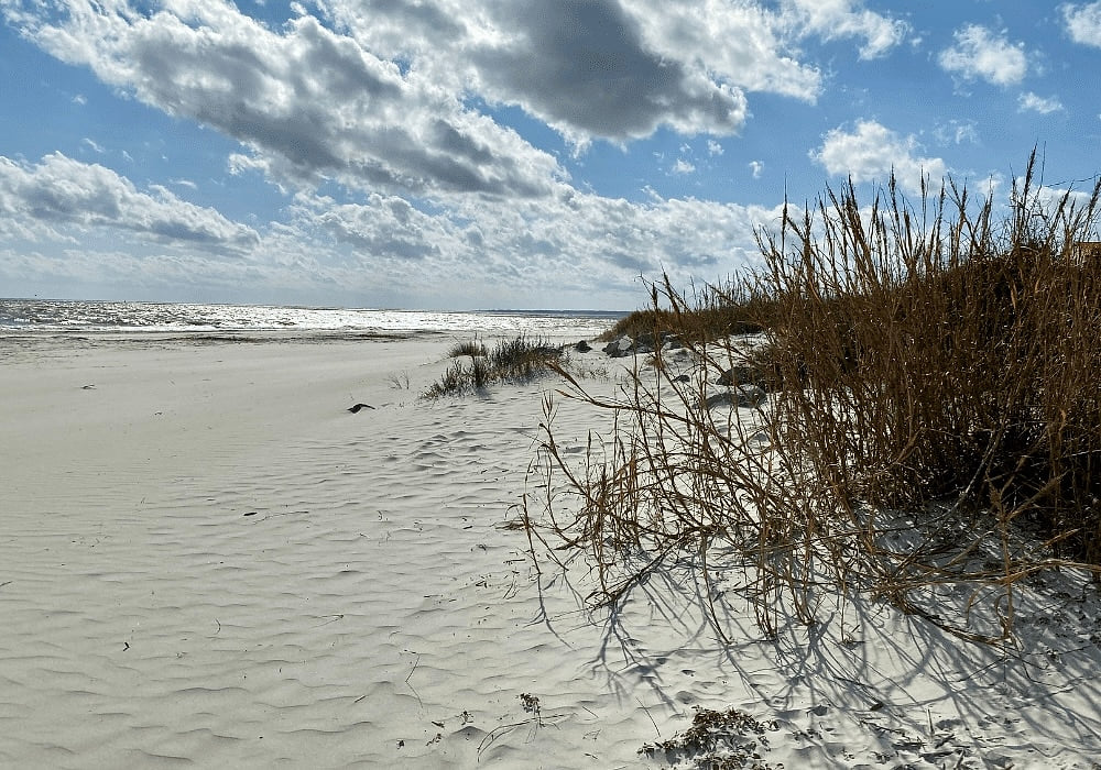 SSI Retreat - Ocean Walk 2BR/2BA Condo - Sleeps 6